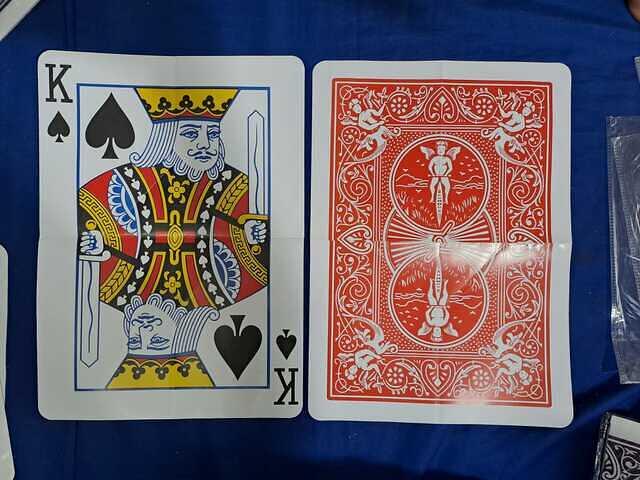 WhatsApp Image 2026-02-13 at 10.25.17 AM (2)