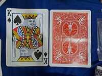 WhatsApp Image 2026-02-13 at 10.25.17 AM (2)